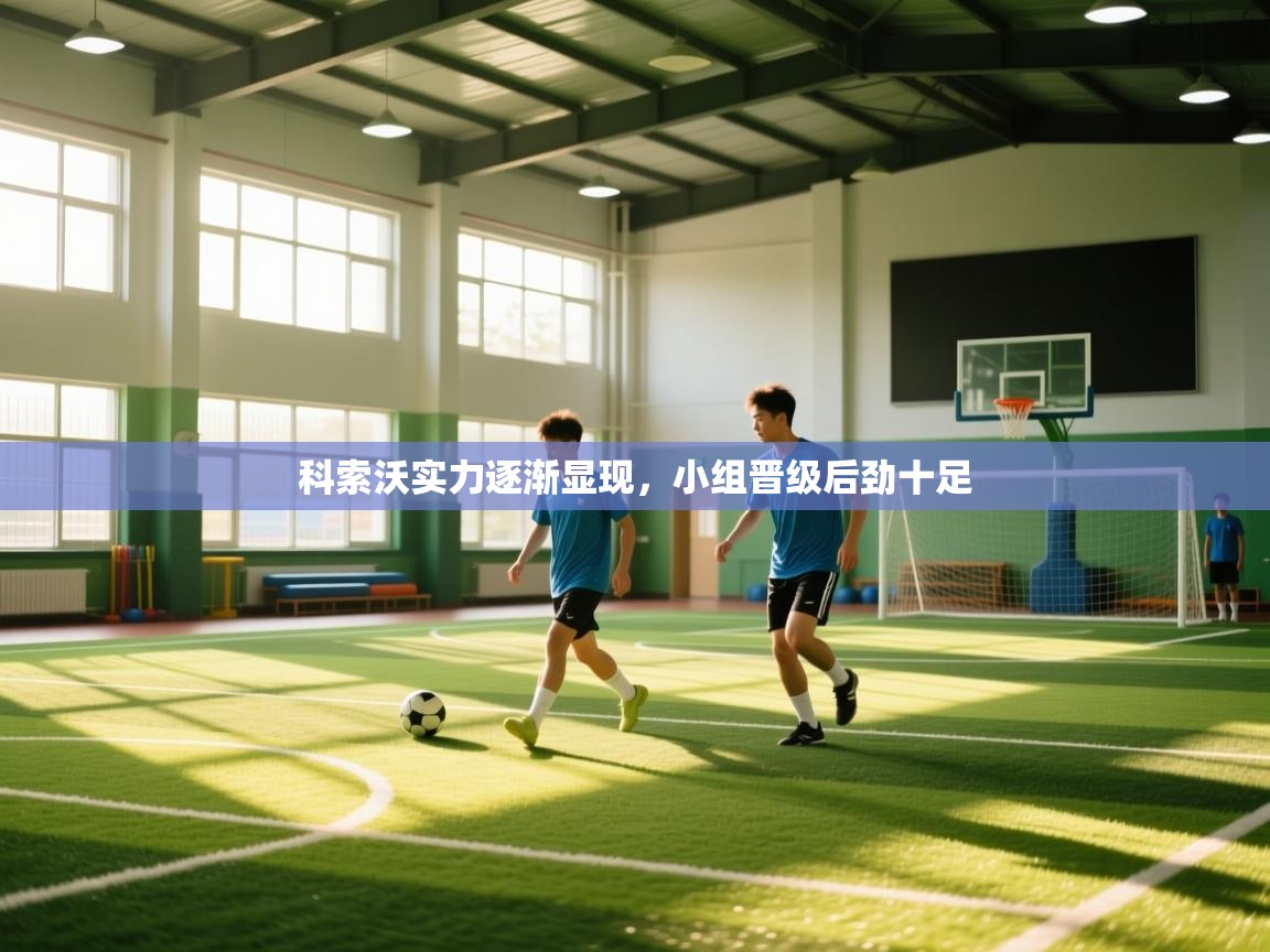 科索沃实力逐渐显现，小组晋级后劲十足  第2张