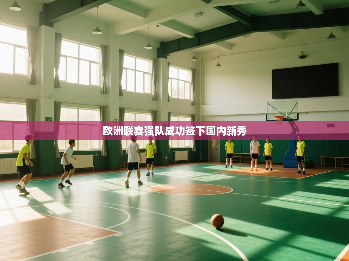 欧洲联赛强队成功签下国内新秀  第2张