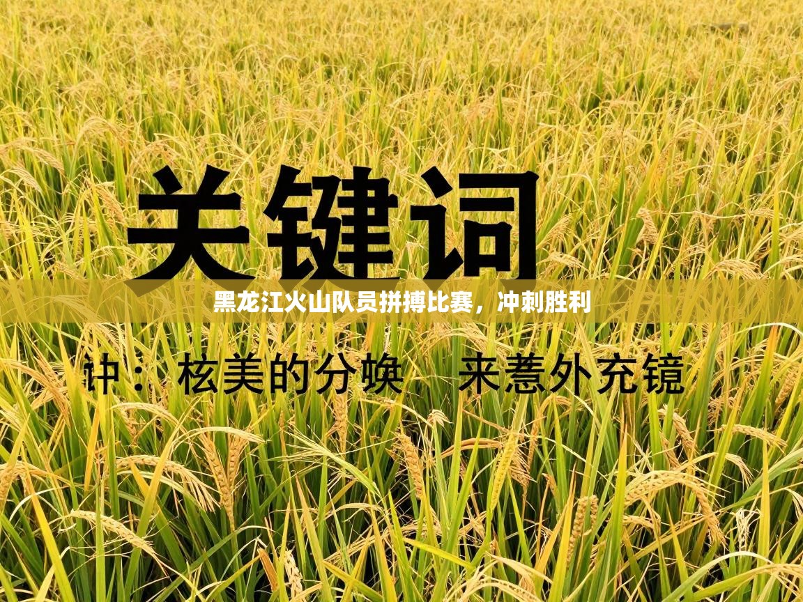 黑龙江火山队员拼搏比赛,冲刺胜利 第2张