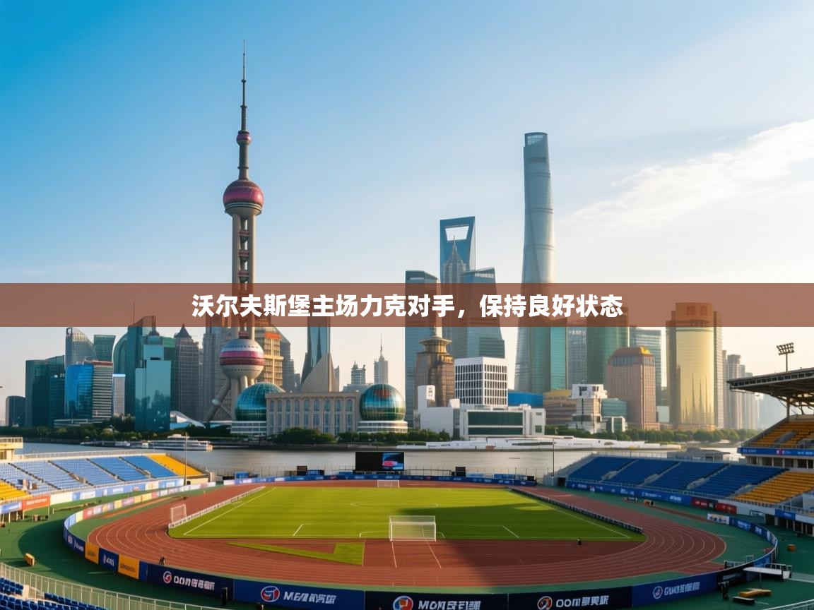 沃尔夫斯堡主场力克对手，保持良好状态  第1张