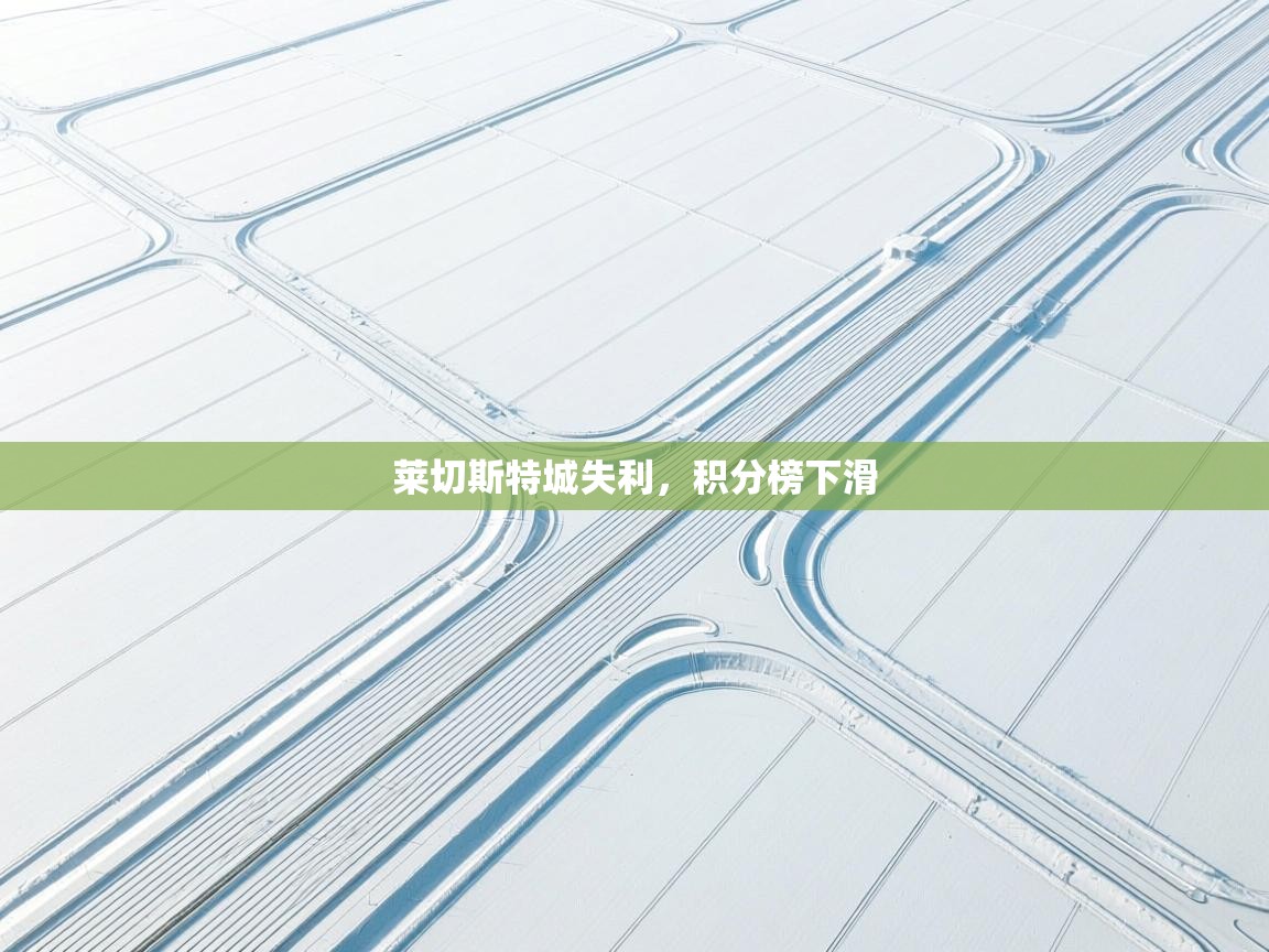 莱切斯特城失利，积分榜下滑  第1张