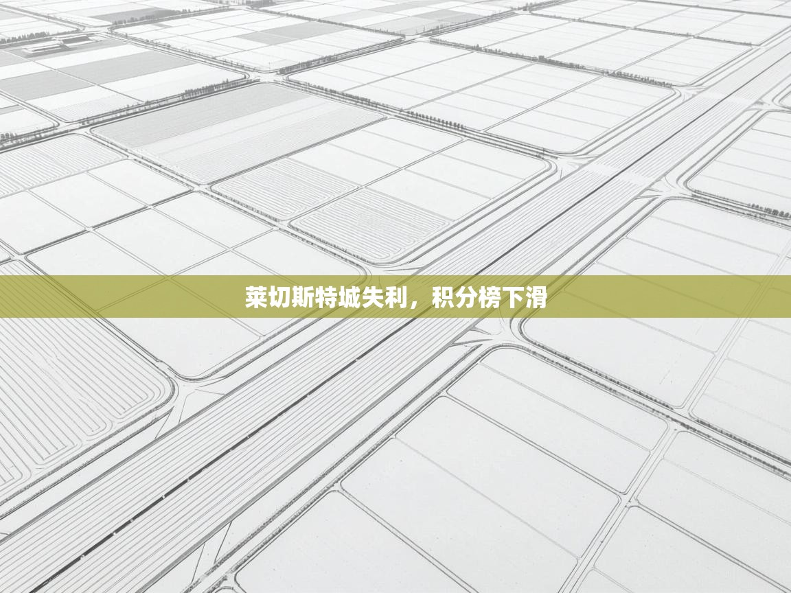 莱切斯特城失利，积分榜下滑  第2张