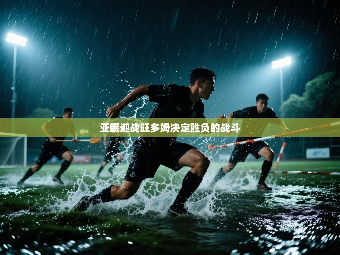 亚眠迎战旺多姆决定胜负的战斗 第1张