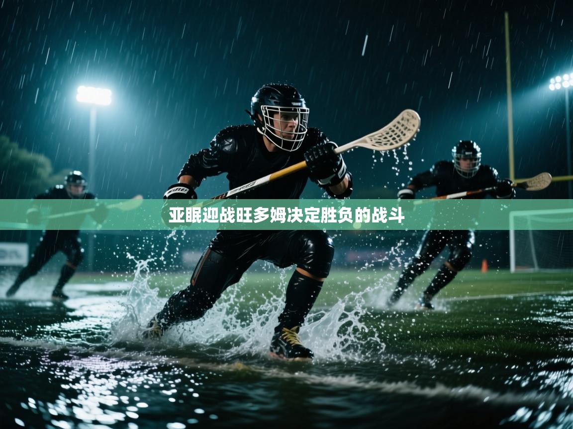 亚眠迎战旺多姆决定胜负的战斗 第2张