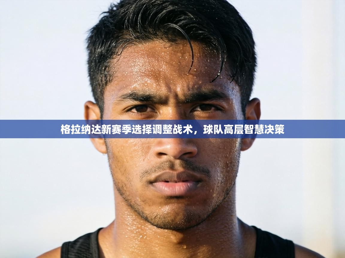 格拉纳达新赛季选择调整战术,球队高层智慧决策 第1张
