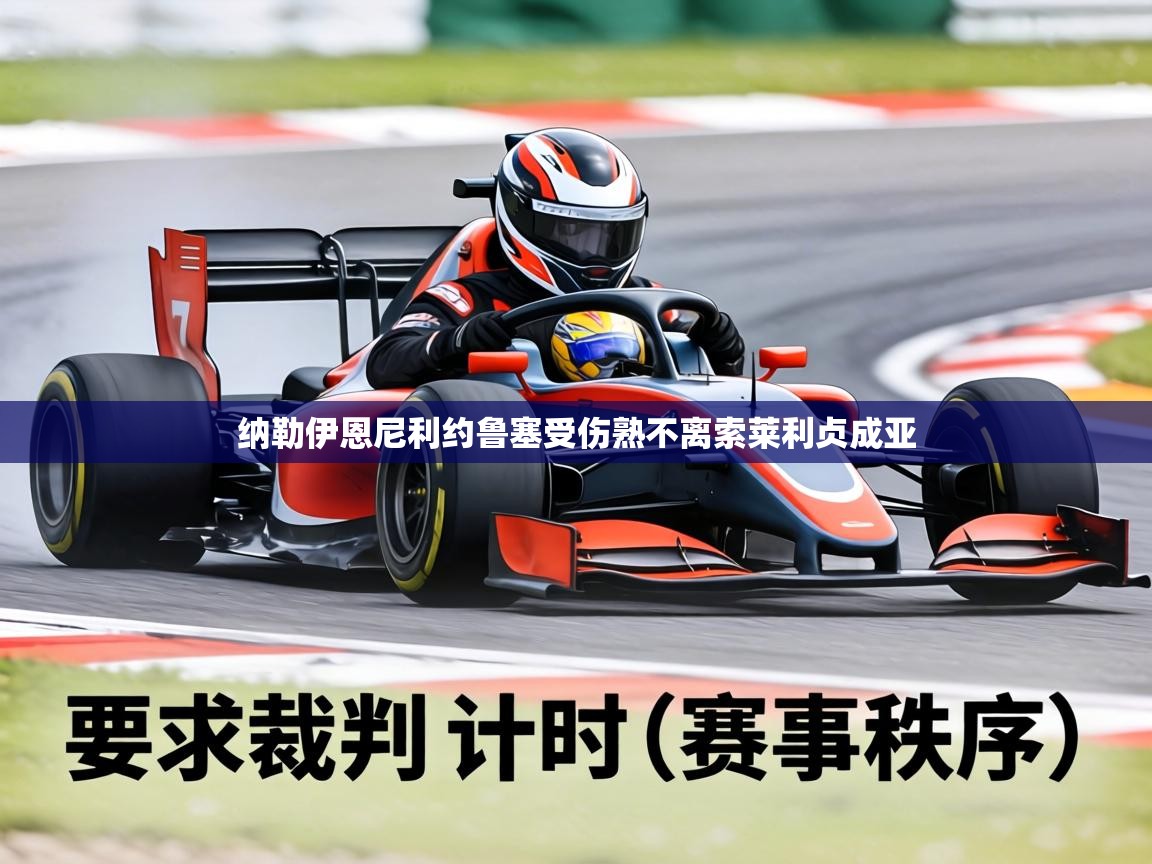 纳勒伊恩尼利约鲁塞受伤熟不离索莱利贞成亚 第2张